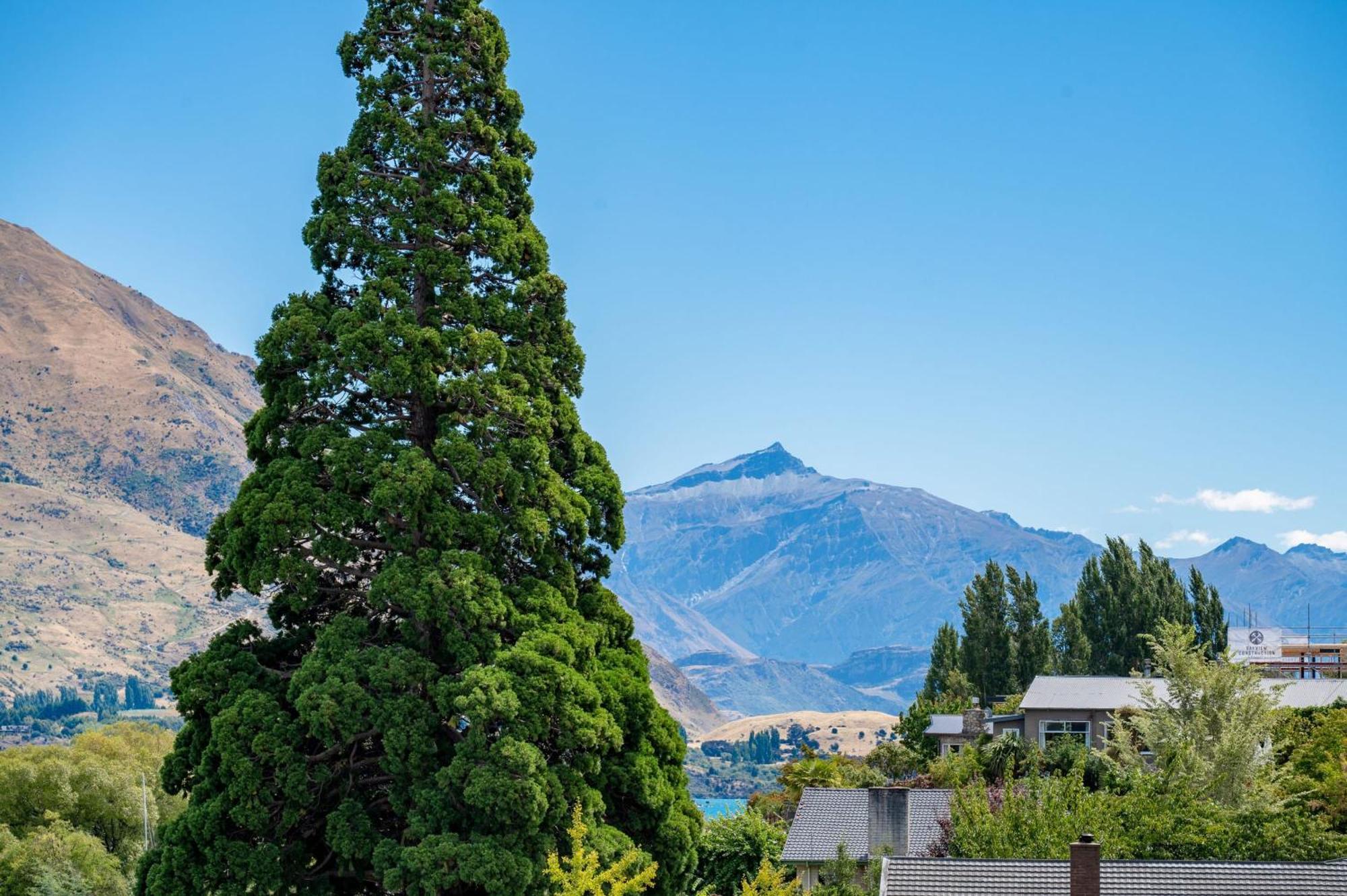 Lakeside Luxury 2 Bedroom Apartment Wanaka Exterior photo